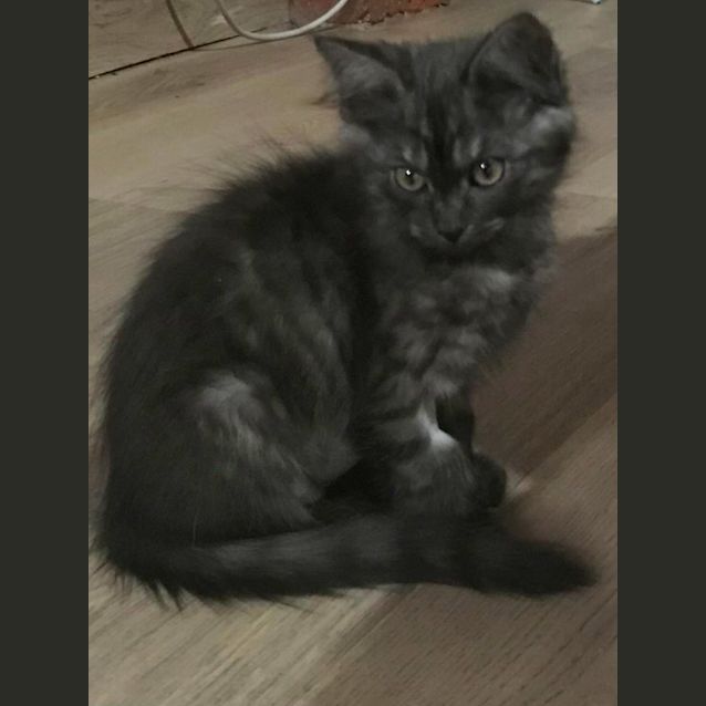 Photo of Betty
