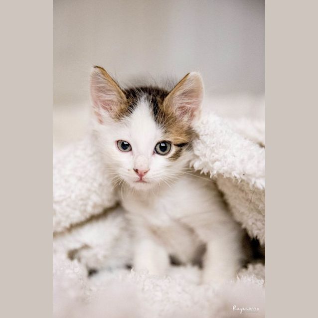 Photo of Marvin*Meet Me At Neko Hq Preston 3rd June*