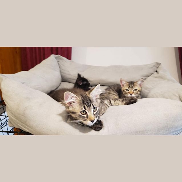 Photo of John Mcclane