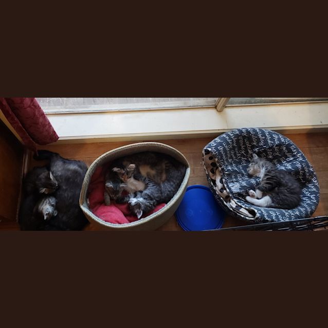 Photo of Karla Vreski