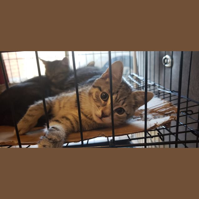 Photo of Roi Rodgers