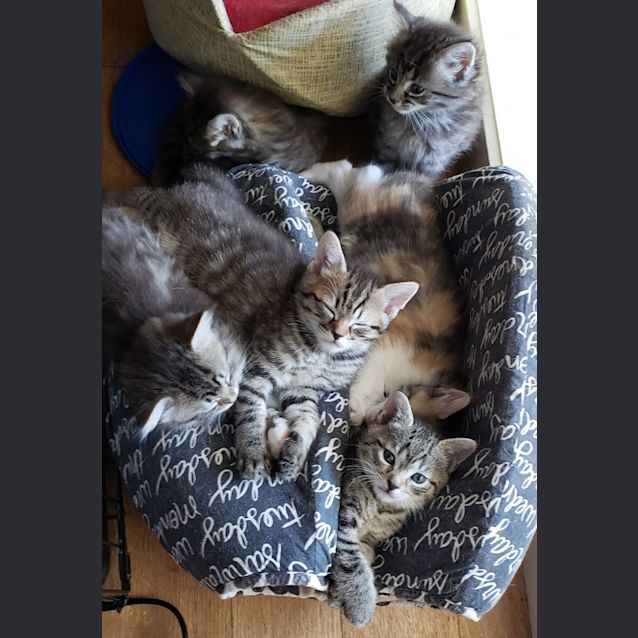 Photo of Roi Rodgers