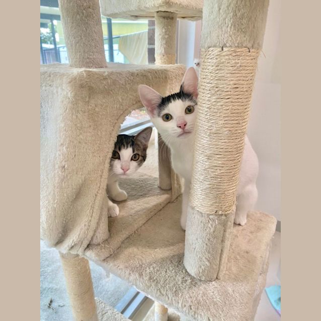 Photo of Mandy And Molly