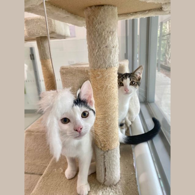 Photo of Mandy And Molly