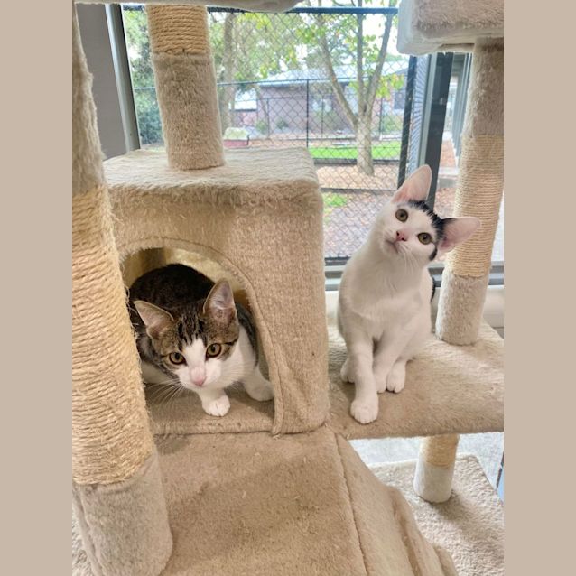 Photo of Mandy And Molly