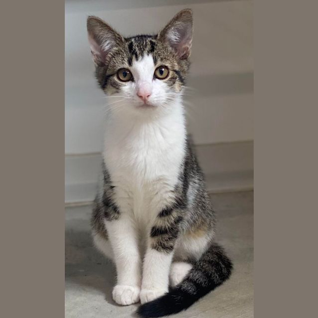 Photo of Molly And Mandy