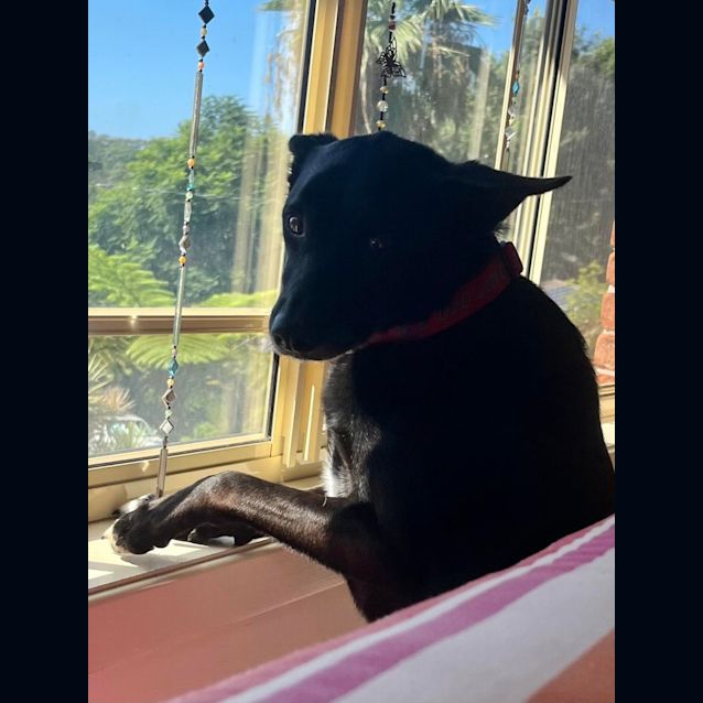 Photo of Missy