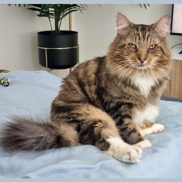 Photo of Razor Aka Ray!