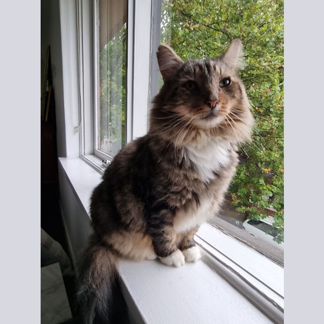 Photo of Razor Aka Ray!