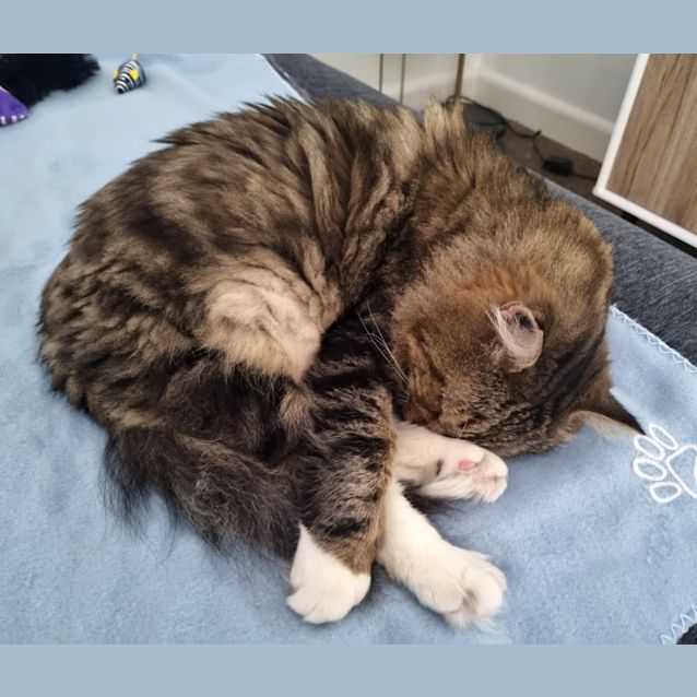 Photo of Razor Aka Ray!