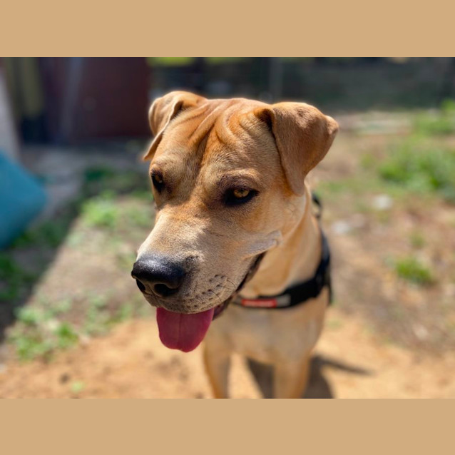 Photo of Geoffrey