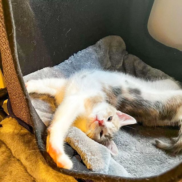 Photo of Rhea & Thea