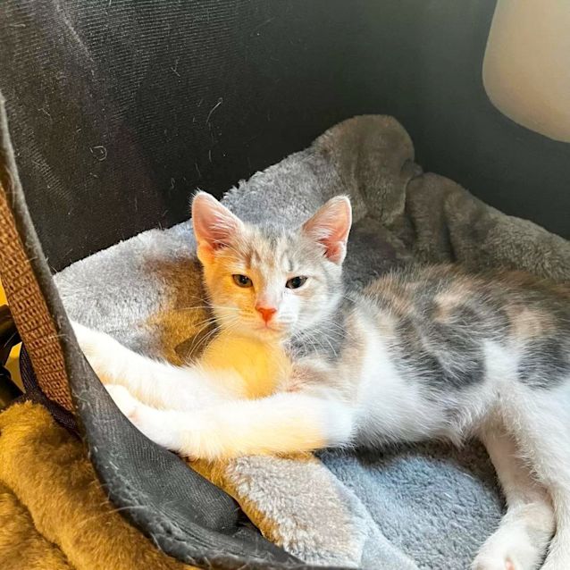 Photo of Rhea & Thea