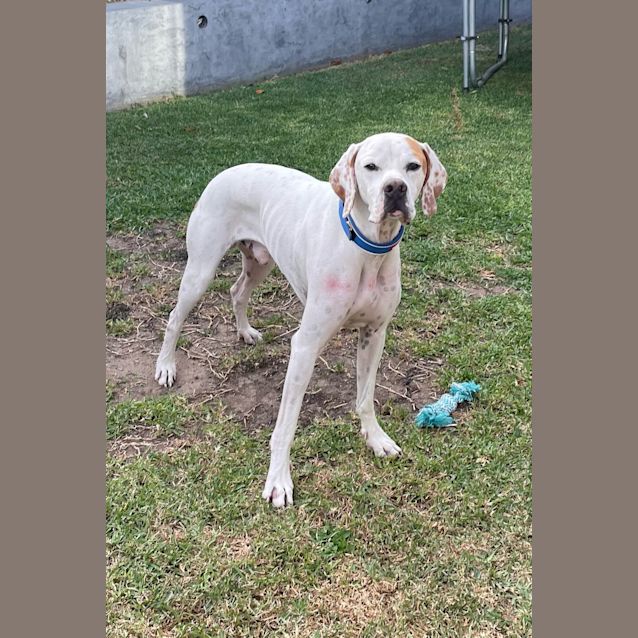 Photo of Dudley