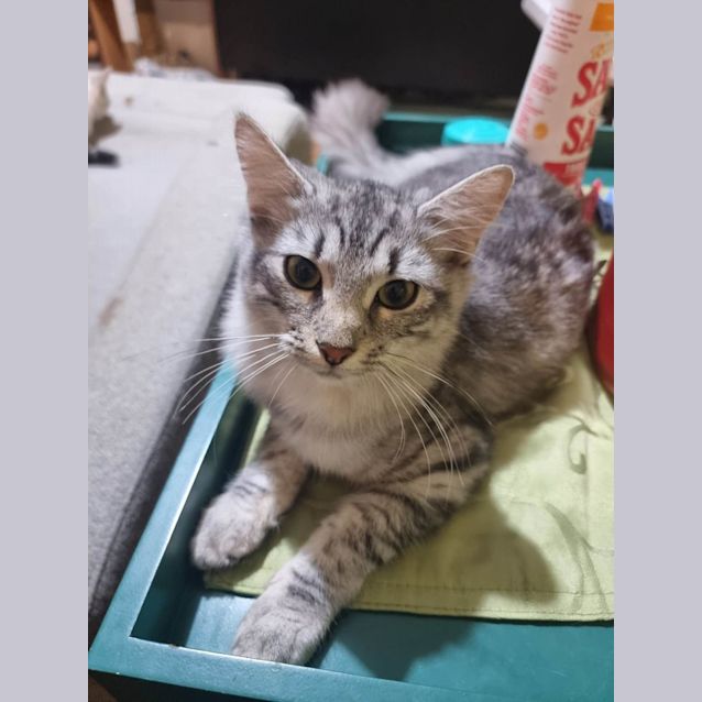 Photo of Tee Tee