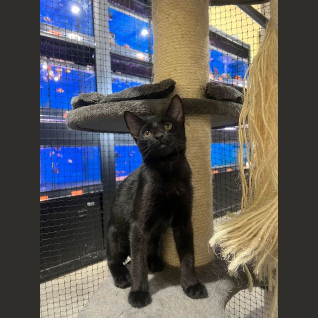 Photo of Sabrina