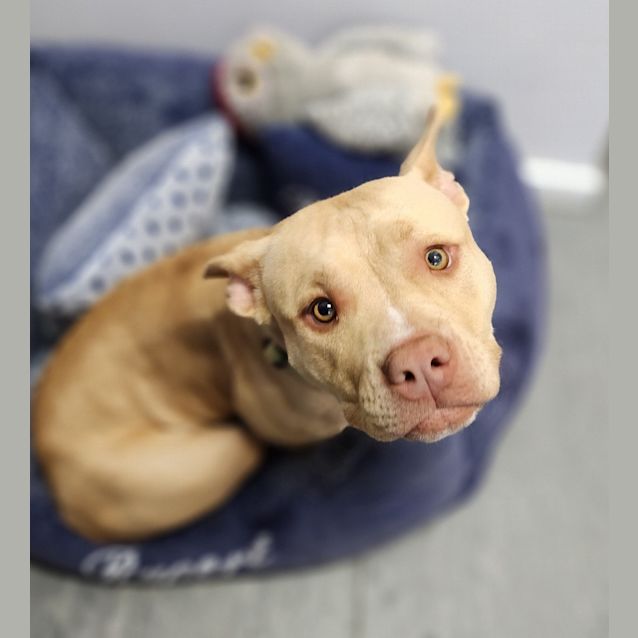 Photo of Lola 