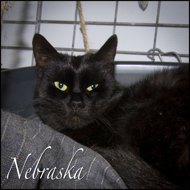 Photo of Nebraska