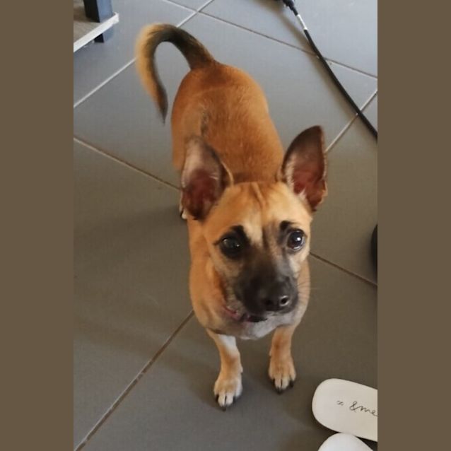 Photo of Mia