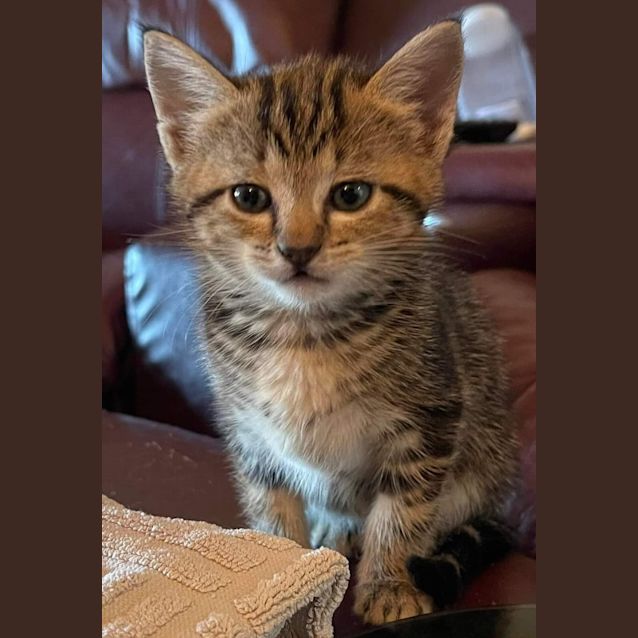 Photo of Ivy