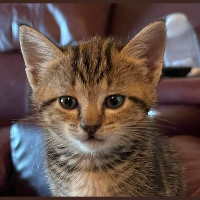 Photo of Ivy