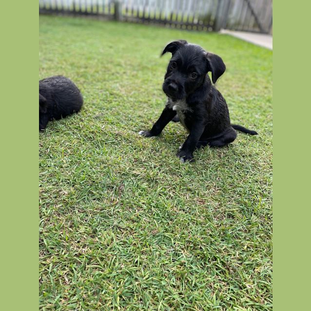 Photo of Frederick (Fred)