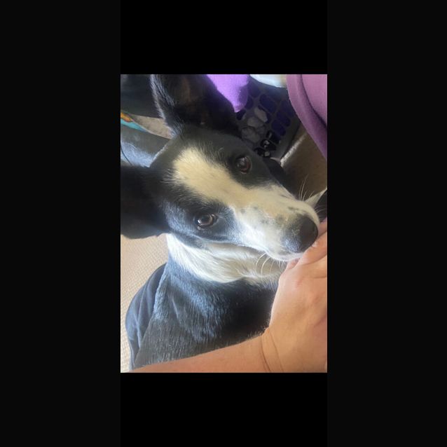 Photo of Mabel