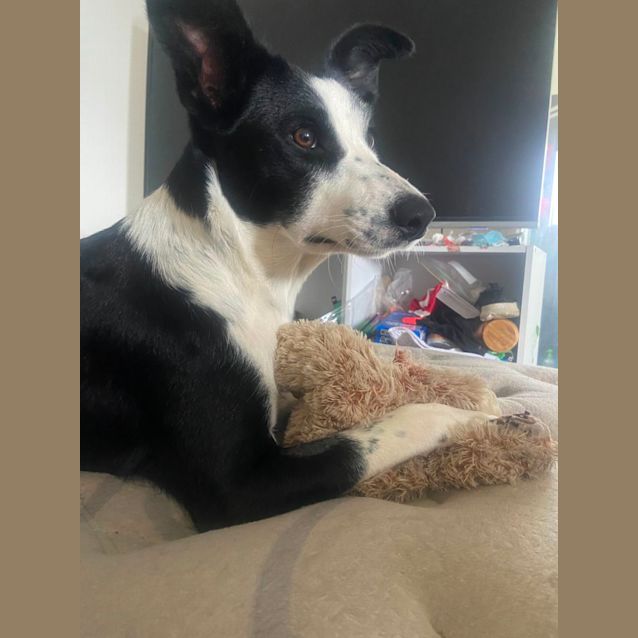 Photo of Mabel