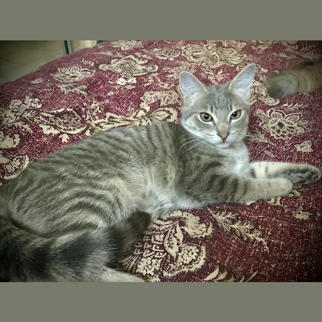 Photo of Milly