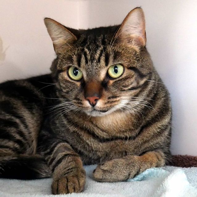 Photo of Bruno Sua011138