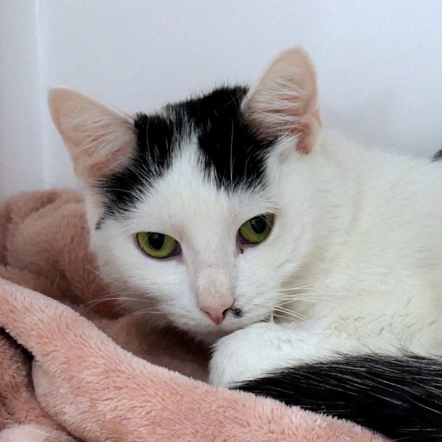 Photo of Millie Sta010990