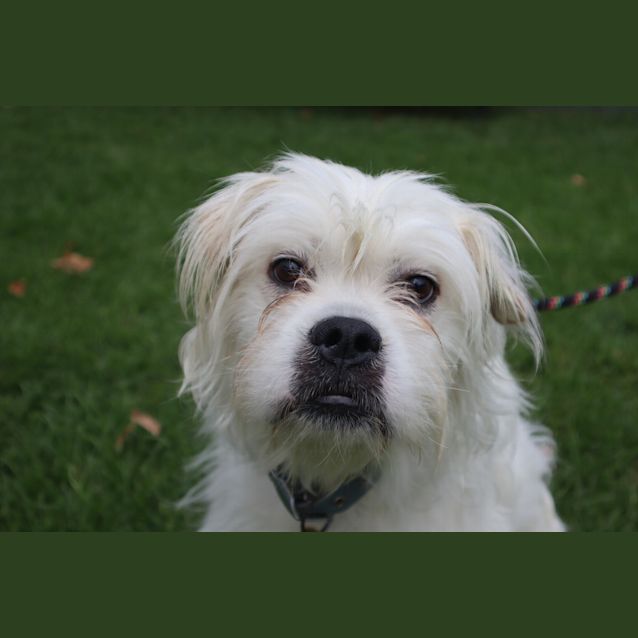 Photo of Jerry