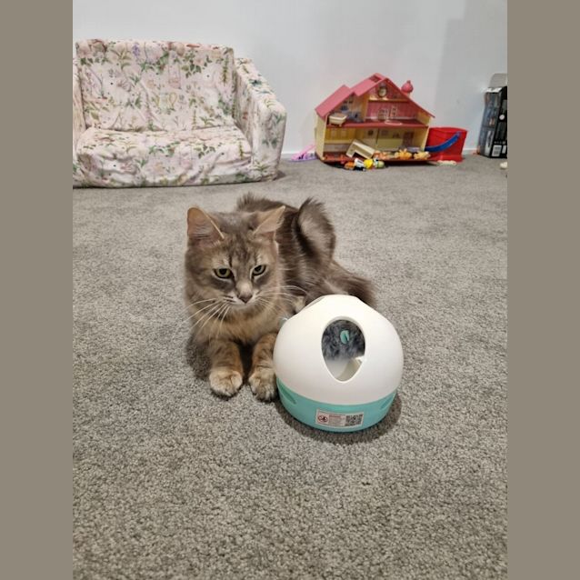 Photo of Lia