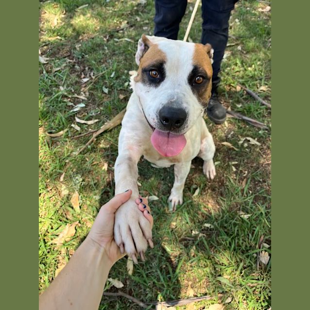 Photo of Jessie Imp 163