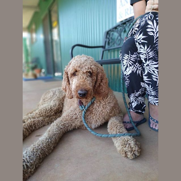 Photo of Stanley