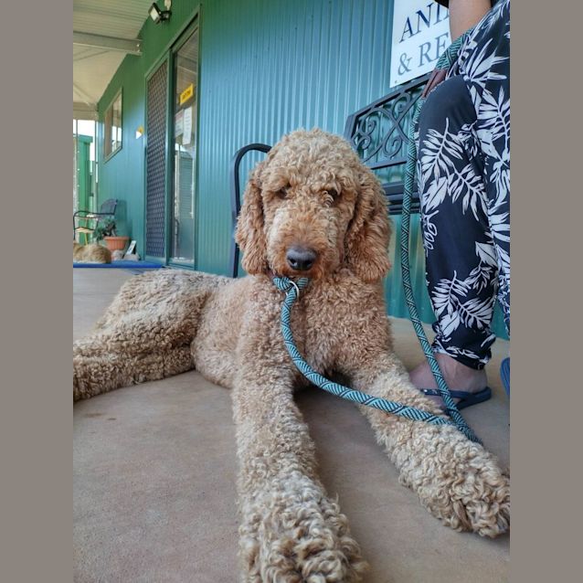 Photo of Stanley