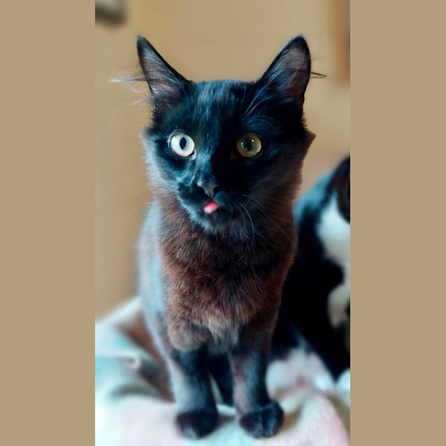 Photo of Rupert & Flynn