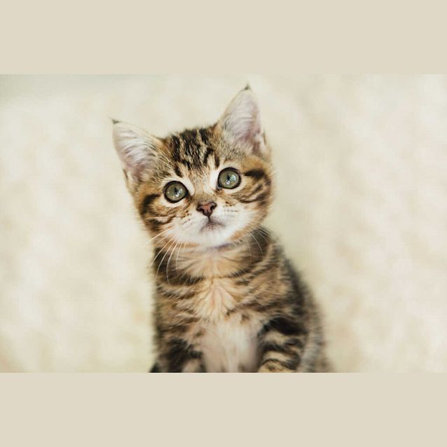 Photo of Wendy