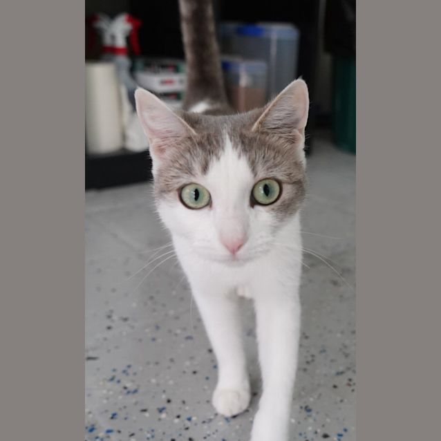Photo of Cheeky
