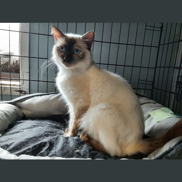 Photo of Tiny 