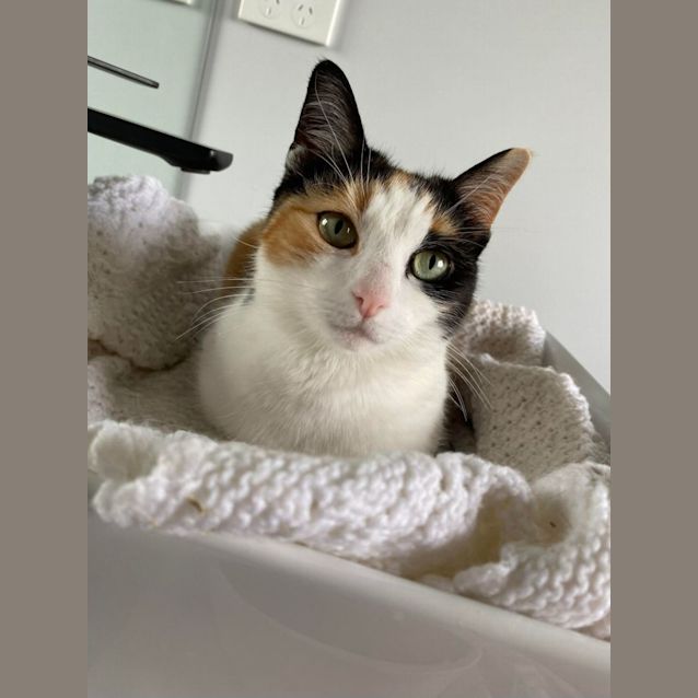 Photo of Precious