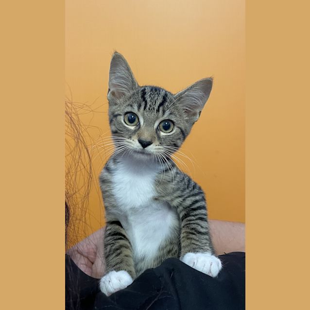 Photo of Billy