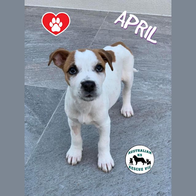 Photo of April 