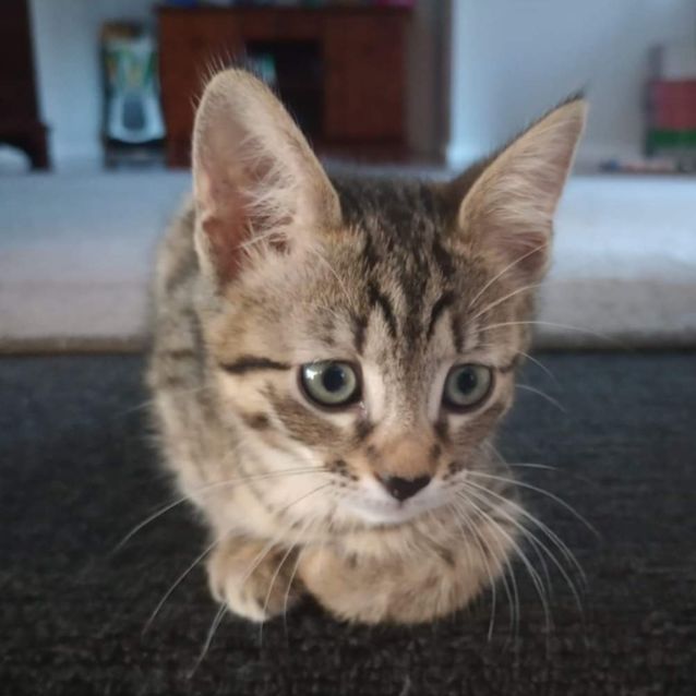 Photo of Mitsy