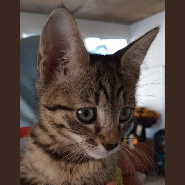 Photo of Mitsy