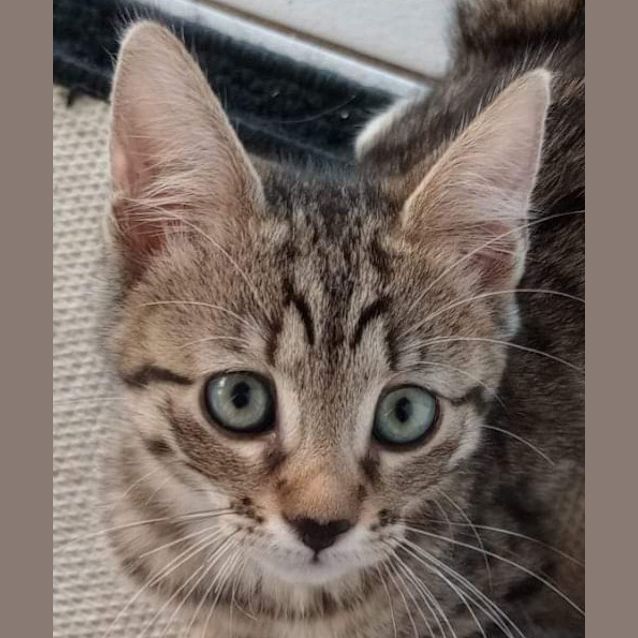 Photo of Mitsy
