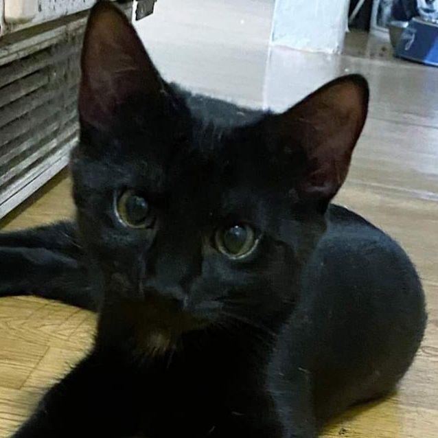 Photo of Mina