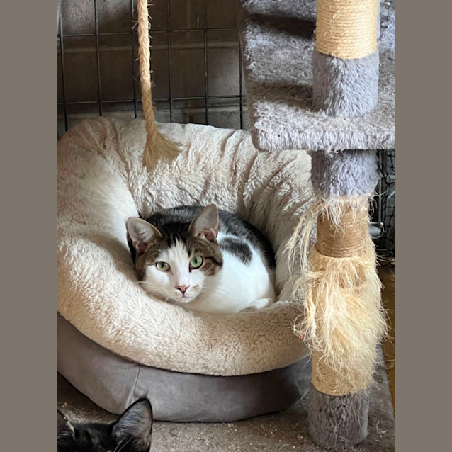 Photo of Prince Lucky 