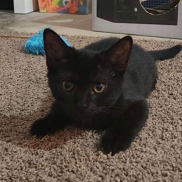 Photo of Eve