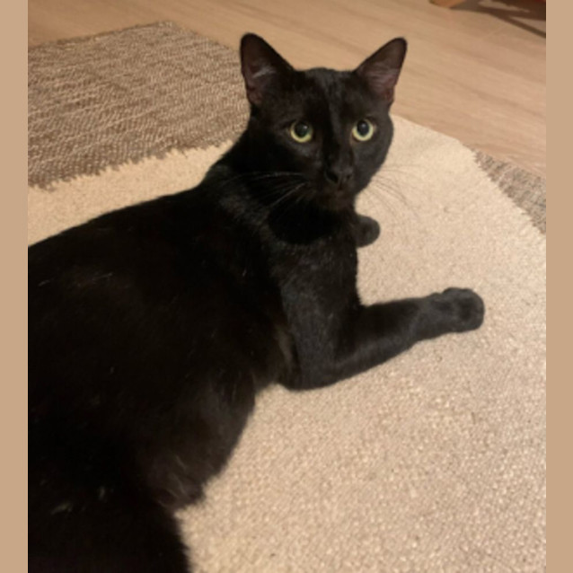 Photo of Hercules